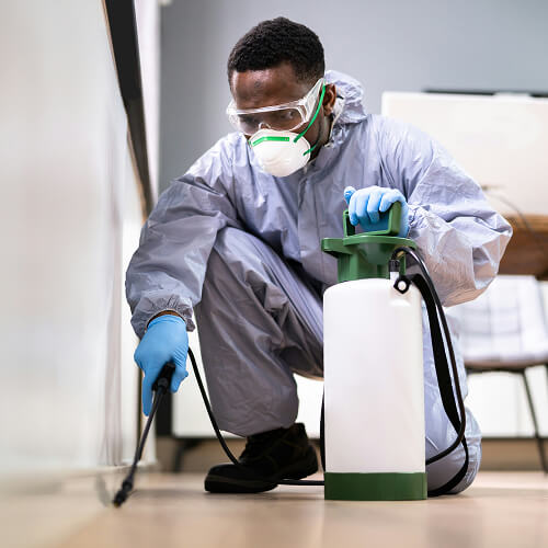 Pest control professional spraying floors